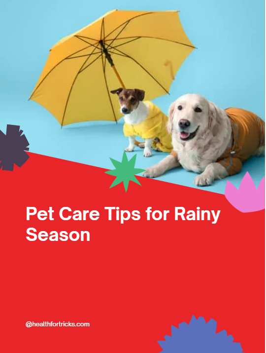 Pet Care Tips for the Rainy Season